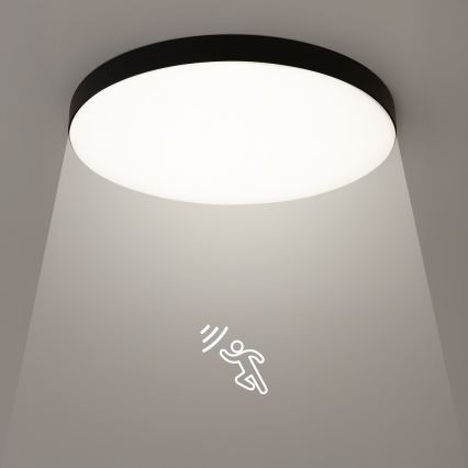 LED Vannas istabas griestu lampa ar sensoru MAYA LED/13W/230V d. 33 cm IP44 melna
