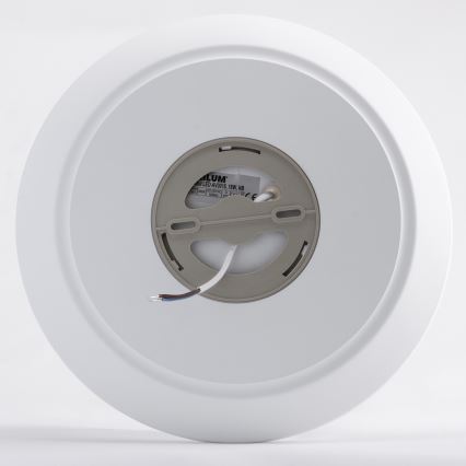 LED Vannas istabas griestu lampa AVESTA LED/18W/230V 4000K IP54