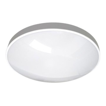 LED Vannas istabas griestu lampa CIRCLE LED/12W/230V 4000K d. 25 cm IP44 balta