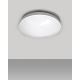 LED Vannas istabas griestu lampa CIRCLE LED/12W/230V 4000K d. 25 cm IP44 balta