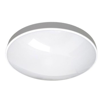 LED Vannas istabas griestu lampa CIRCLE LED/18W/230V 4000K d. 30 cm IP44 balta