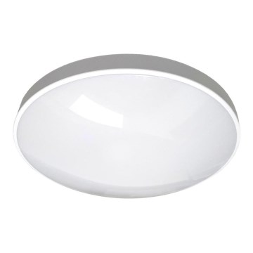 LED Vannas istabas griestu lampa CIRCLE LED/24W/230V 4000K d. 37 cm IP44 balta