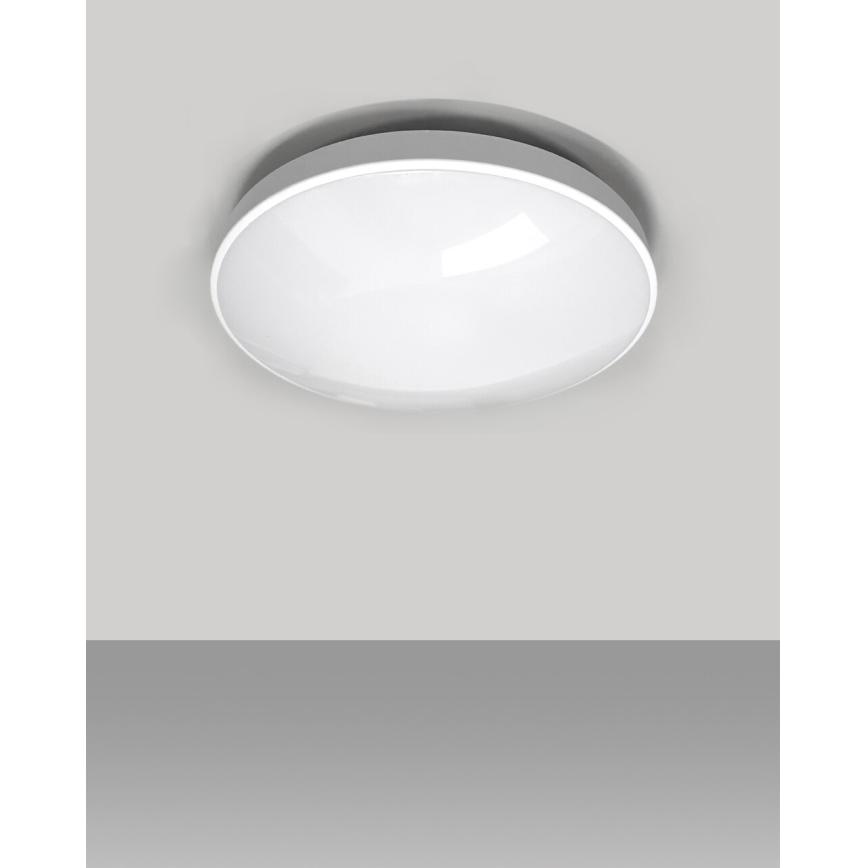 LED Vannas istabas griestu lampa CIRCLE LED/24W/230V 4000K d. 37 cm IP44 balta