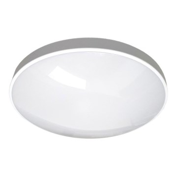 LED Vannas istabas griestu lampa CIRCLE LED/36W/230V 4000K d. 45 cm IP44 balta