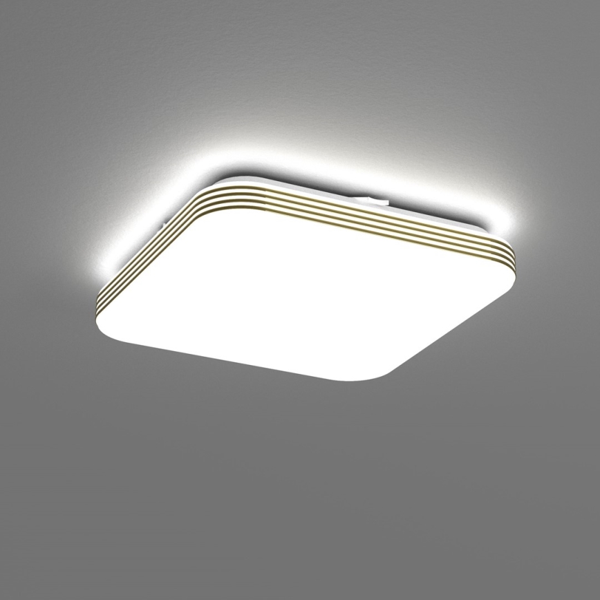 LED Vannas istabas griestu lampa DABAR LED/11W/230V 4000K 26x26 cm IP44