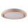 LED Vannas istabas griestu lampa DAREK LED/24W/230V d. 39 cm IP44 ozols