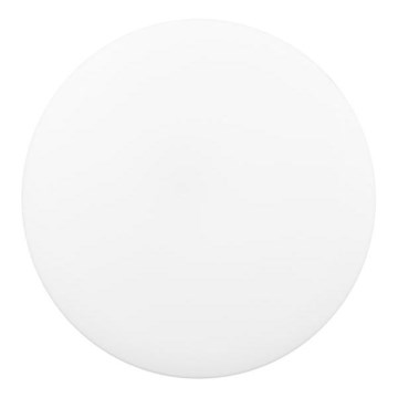 LED Vannas istabas griestu lampa DISK LED/12W/230V 3000/4000/6500K d. 23 cm IP44 balta
