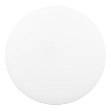 LED Vannas istabas griestu lampa DISK LED/24W/230V 3000/4000/6500K d. 38 cm IP44 balta