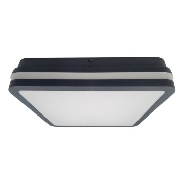 LED Vannas istabas griestu lampa ELLÉ LED/24W/230V 3000/4000/6500K 26x26 cm IP54 antracīta