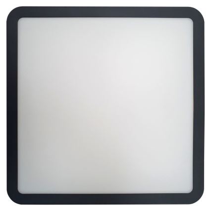 LED Vannas istabas griestu lampa ELLÉ LED/24W/230V 3000/4000/6500K 26x26 cm IP54 antracīta