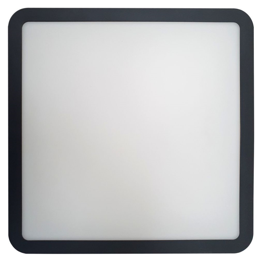 LED Vannas istabas griestu lampa ELLÉ LED/24W/230V 3000/4000/6500K 26x26 cm IP54 antracīta