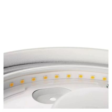 LED Vannas istabas griestu lampa LED/12W/230V IP44