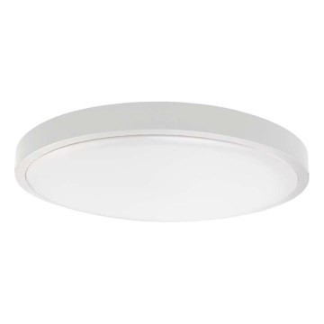 LED Vannas istabas griestu lampa LED/18W/230V 4000K IP44 d. 22,5 cm balta