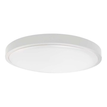 LED vannas istabas griestu lampa LED/18W/230V 4000K IP44 Ø25 cm balta