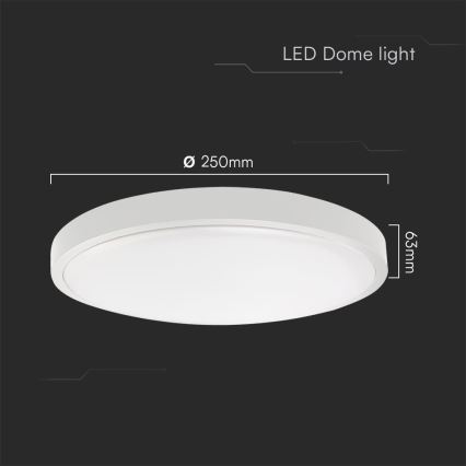 LED Vannas istabas griestu lampa SAMSUNG CHIP LED/18W/230V IP44 6500K d. 25 cm balta