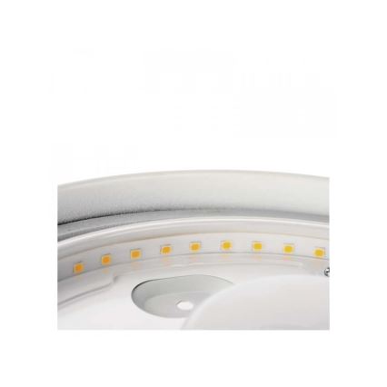 LED Vannas istabas griestu lampa LED/18W/230V IP44