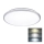 LED Vannas istabas griestu lampa LED/24W/230V 3000/4000/6500K IP54