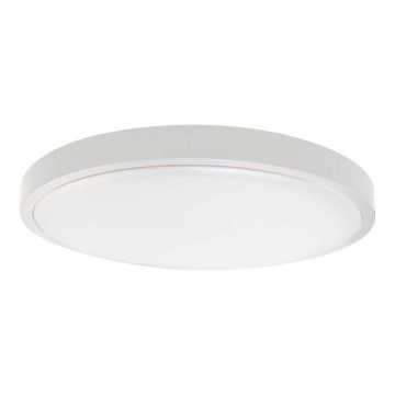 LED vannas istabas griestu lampa LED/24W/230V 3000K IP44 balta