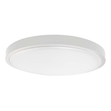 LED Vannas istabas griestu lampa LED/24W/230V 4000K IP44 balta