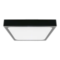 LED vannas istabas griestu lampa LED/24W/230V 6500K IP44 melna