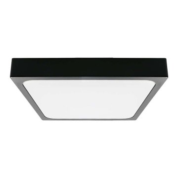 LED vannas istabas griestu lampa LED/24W/230V 6500K IP44 melna