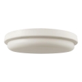 LED Vannas istabas griestu lampa LED/24W/230V 6500K IP54 d. 24 cm