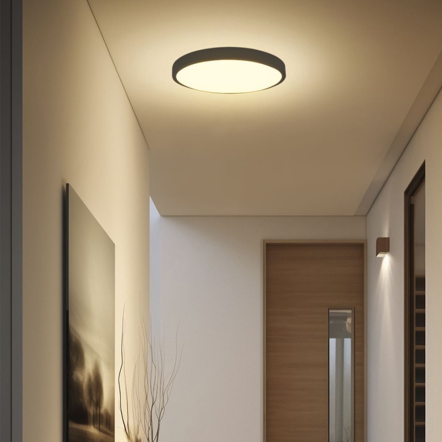 LED Vannas istabas griestu lampa SAMSUNG CHIP LED/24W/230V IP44 6500K d. 29 cm melna