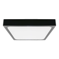LED Vannas istabas griestu lampa LED/30W/230V 3000K IP44 42x42 cm melna