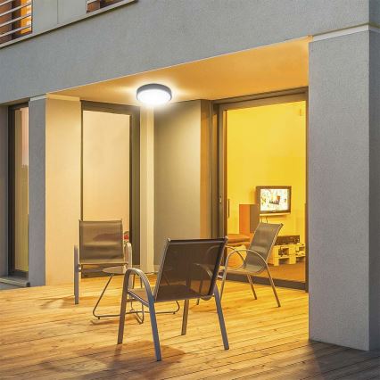 LED Vannas istabas griestu lampa LED/30W/230V 6500K IP44 d. 42 cm melna