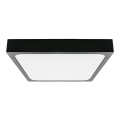 LED Vannas istabas griestu lampa LED/30W/230V 6500K IP44 melna