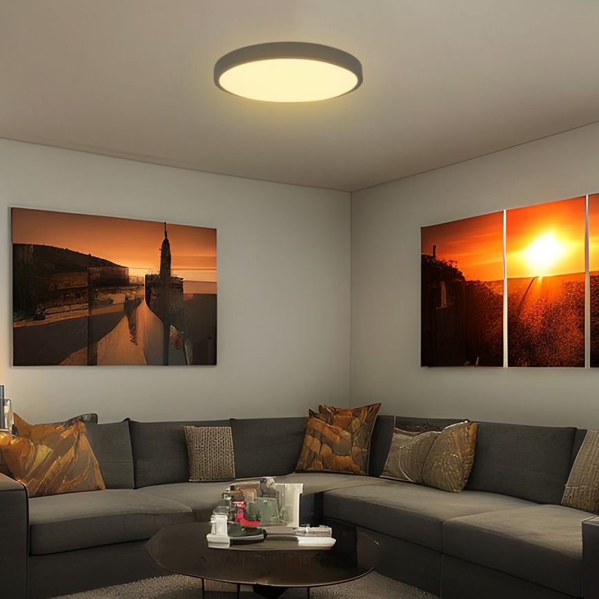 LED Vannas istabas griestu lampa SAMSUNG CHIP LED/36W/230V IP44 3000K d. 35 cm melna