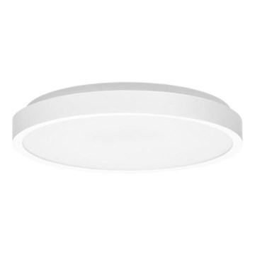 LED Vannas istabas griestu lampa LIRA LED/18W/230V 4000K d. 29,5 cm IP44 balta