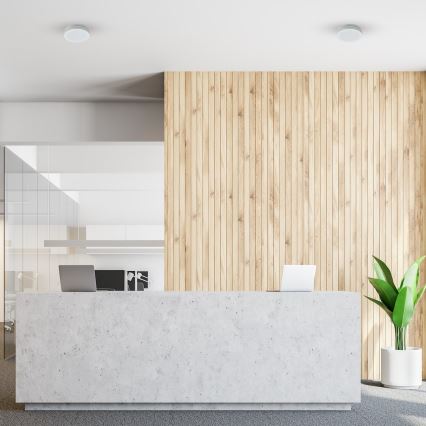 LED vannas istabas griestu lampa MARLON LED/12W/230V Ø 18 cm IP54 balta