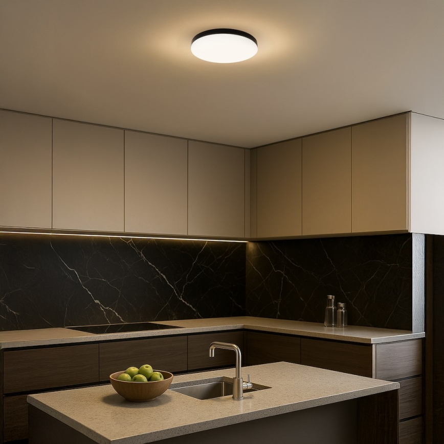 LED Vannas istabas griestu lampa MAYA LED/15W/230V d. 33 cm IP44 melna
