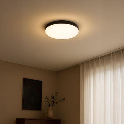 LED Vannas istabas griestu lampa MAYA LED/15W/230V d. 33 cm IP44 melna