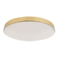 LED Vannas istabas griestu lampa MAYA LED/15W/230V d. 33 cm IP44 zelta