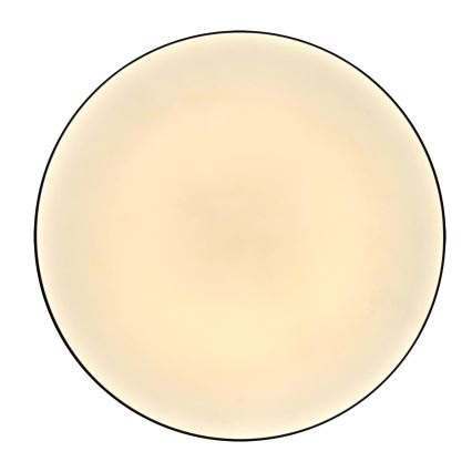 LED Vannas istabas griestu lampa MOON LED/18W/230V spīdīgi hromēts IP44