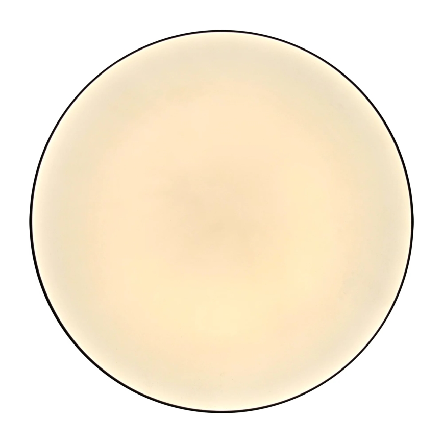 LED vannas istabas griestu lampa MOON LED/18W/230V melna IP44