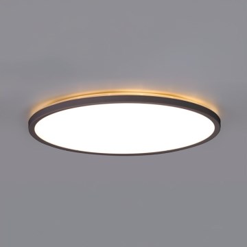 LED Vannas istabas griestu lampa NIVERA LED/12W/230V IP54 3000/4000/6000K diametrs 22,5 cm melna