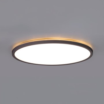 LED Vannas istabas griestu lampa NIVERA LED/18W/230V IP54 3000/4000/6000K diametrs 30 cm melna