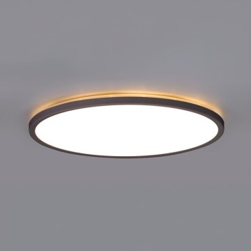 LED Vannas istabas griestu lampa NIVERA LED/24W/230V IP54 3000/4000/6000K Ø 30 cm melna
