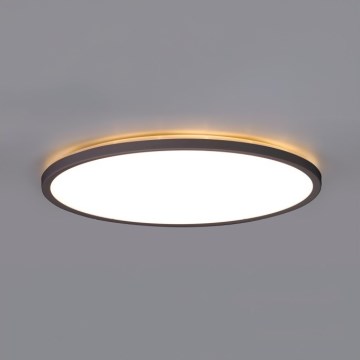 LED Vannas istabas griestu lampa NIVERA LED/32W/230V IP54 3000/4000/6000K d. 42 cm melna