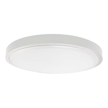 LED Vannas istabas griestu lampa SAMSUNG CHIP LED/18W/230V IP44 4000K d. 25 cm balta