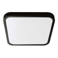 LED Vannas istabas griestu lampa SAMSUNG CHIP LED/18W/230V IP44 6500K 25x25 cm melna