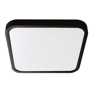 LED Vannas istabas griestu lampa SAMSUNG CHIP LED/18W/230V IP44 6500K 25x25 cm melna