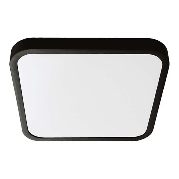 LED Vannas istabas griestu lampa SAMSUNG CHIP LED/24W/230V IP44 4000K 29x29 cm melna