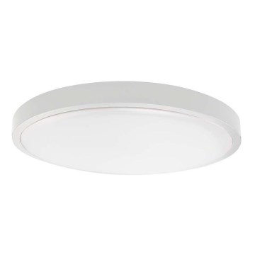 LED Vannas istabas griestu lampa SAMSUNG CHIP LED/24W/230V IP44 4000K d. 29 cm balta