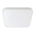 LED Vannas istabas griestu lampa SAMSUNG CHIP LED/24W/230V IP44 6500K 29x29 cm balta