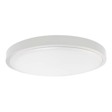 LED Vannas istabas griestu lampa SAMSUNG CHIP LED/24W/230V IP44 6500K d. 29 cm balta