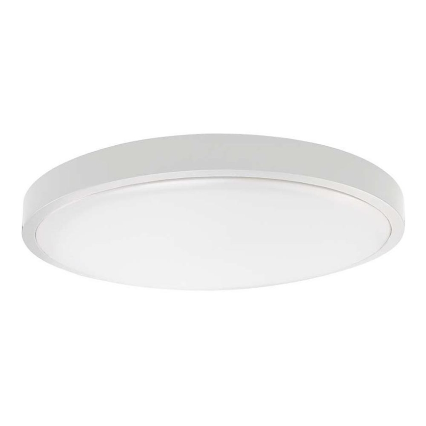 LED Vannas istabas griestu lampa SAMSUNG CHIP LED/24W/230V IP44 6500K d. 29 cm balta